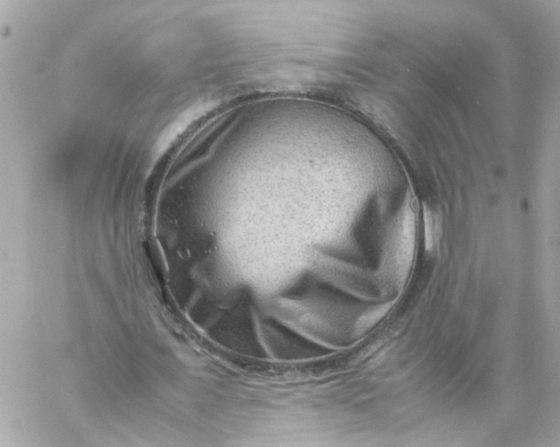 X0000059250675200510281957