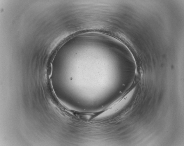 X0000059250676200510281957