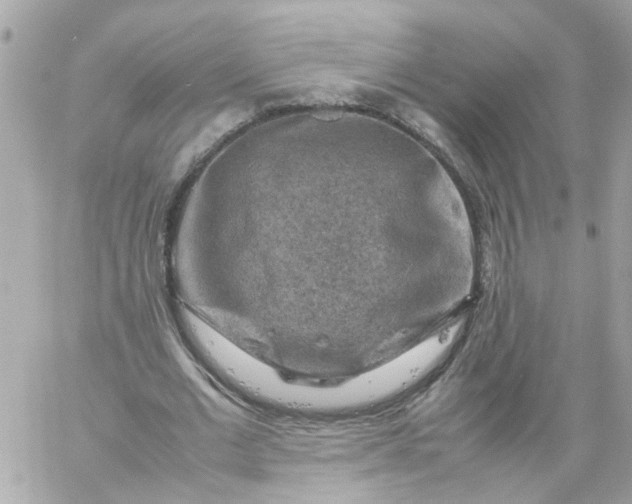 X0000059250677200510281957