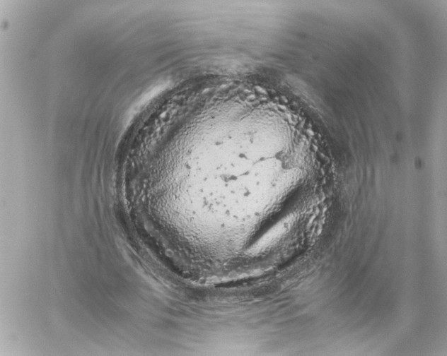 X0000059250679200510281956