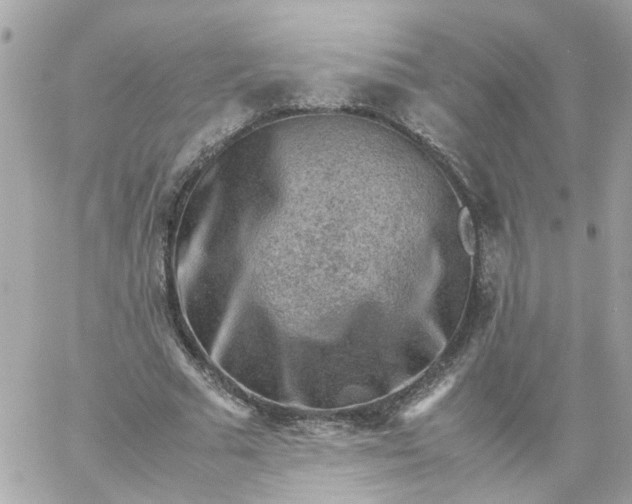 X0000059250681200510281956