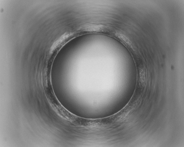 X0000059250682200510281956