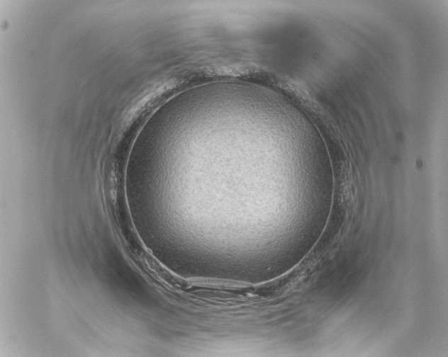 X0000059250683200510281956