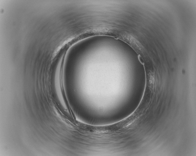 X0000059250684200510281956