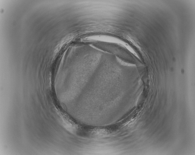 X0000059250685200510281956