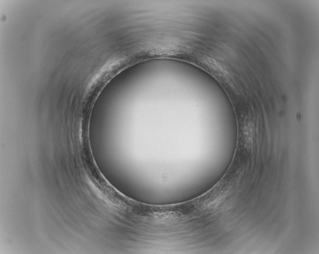 X0000059250686200510281956