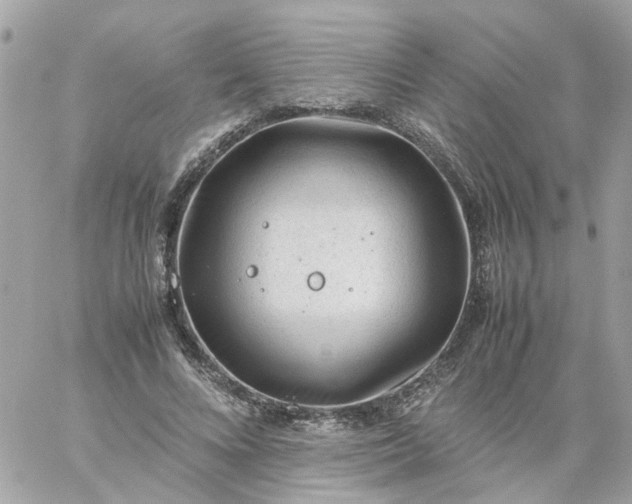 X0000059250688200510281956