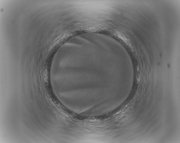 X0000059250689200510281956