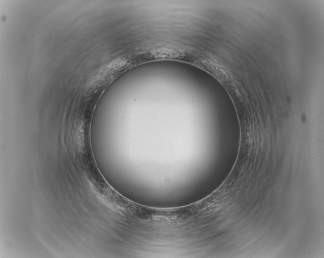 X0000059250690200510281956