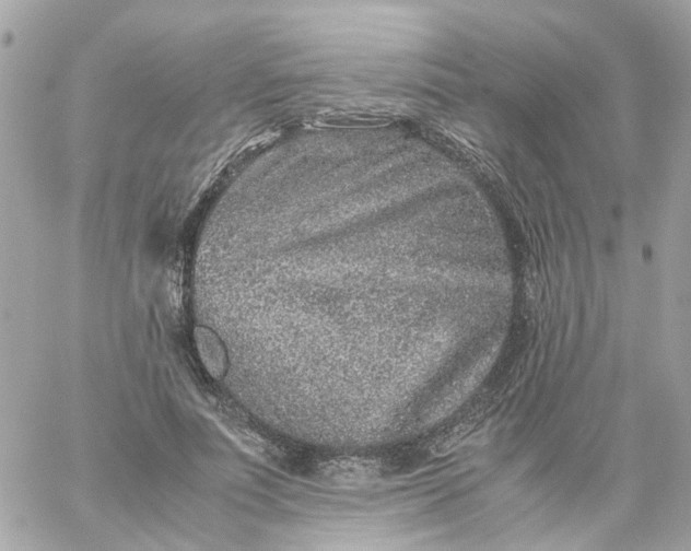 X0000059250691200510281956