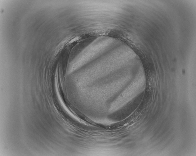 X0000059250693200510281956