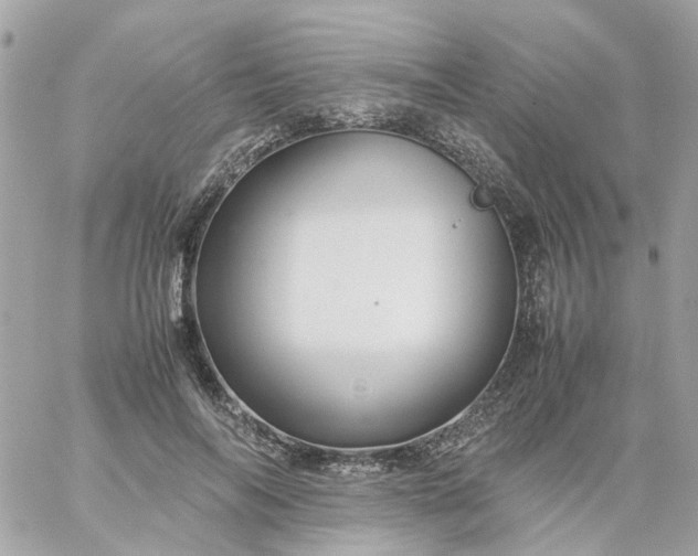 X0000059250694200510281956