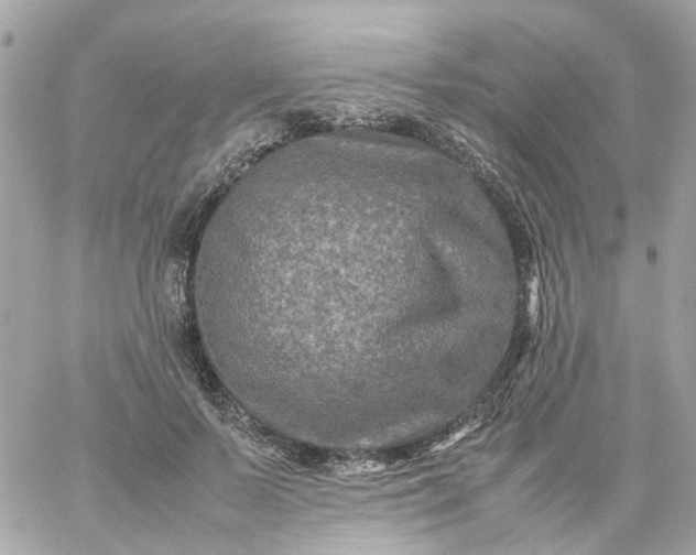 X0000059250695200510281956