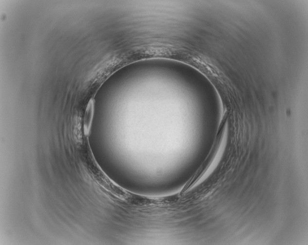 X0000059250696200510281956