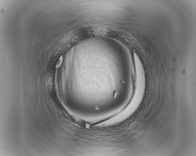 X0000059250697200510281956