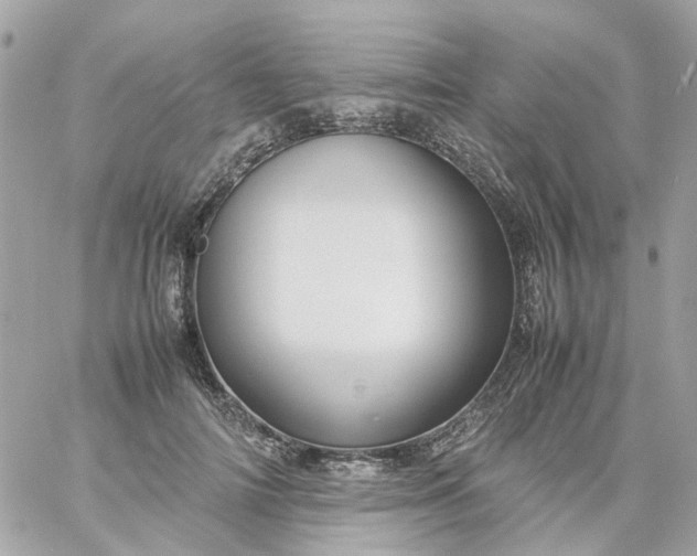 X0000059250698200510281956