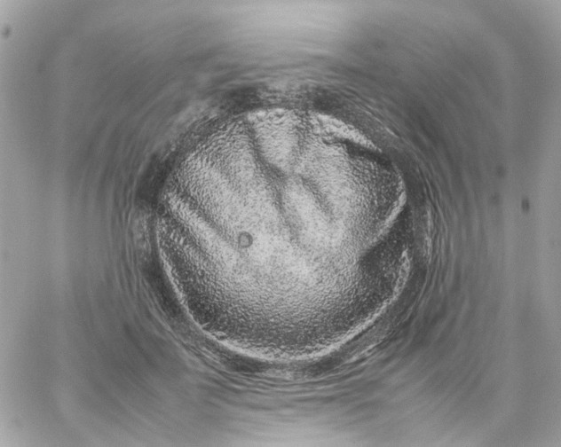 X0000059250699200510281956