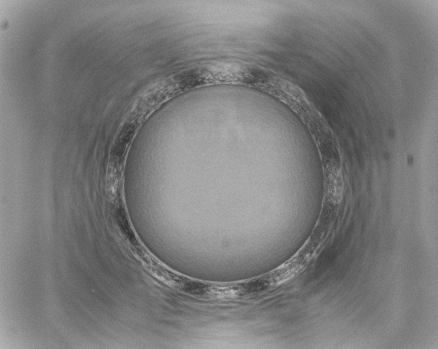 X0000059250701200510281956