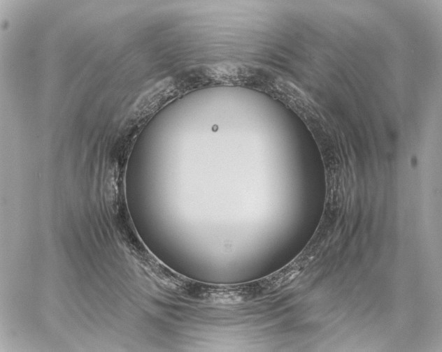 X0000059250702200510281956