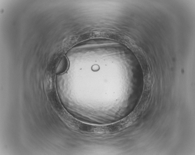 X0000059250703200510281956