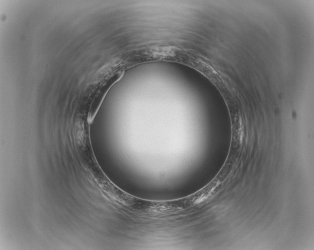 X0000059250704200510281956