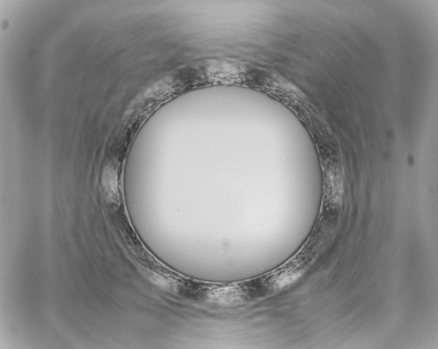 X0000059250705200510281956