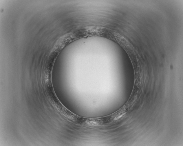 X0000059250706200510281956