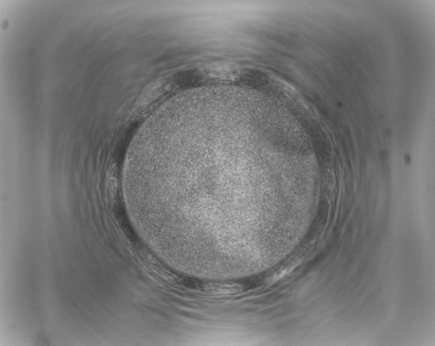 X0000059250707200510281956