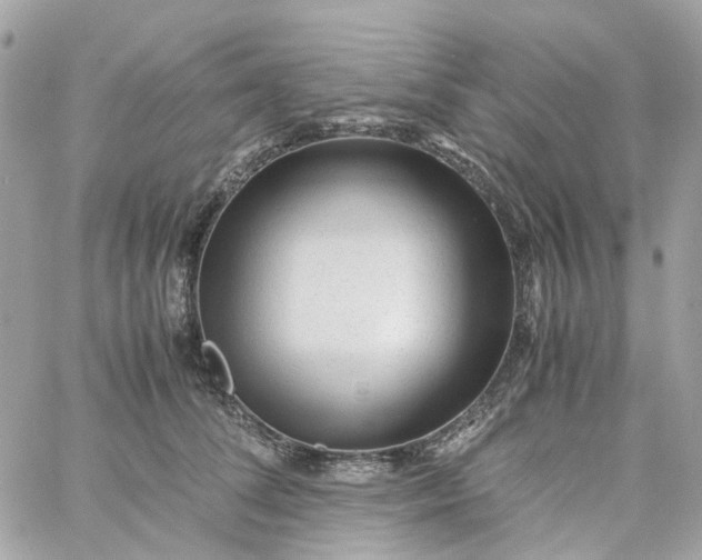 X0000059250708200510281956