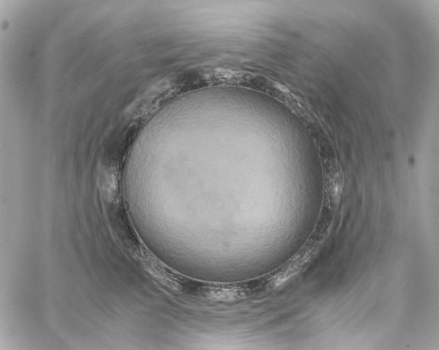 X0000059250709200510281956