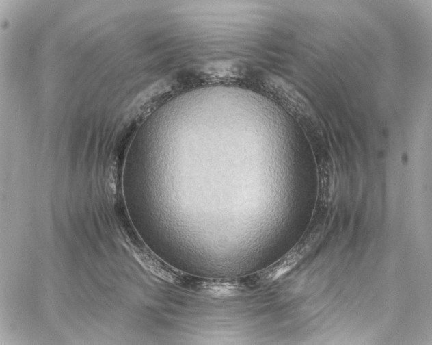 X0000059250710200510281956