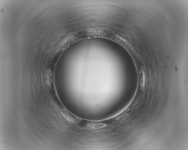 X0000059250712200510281956