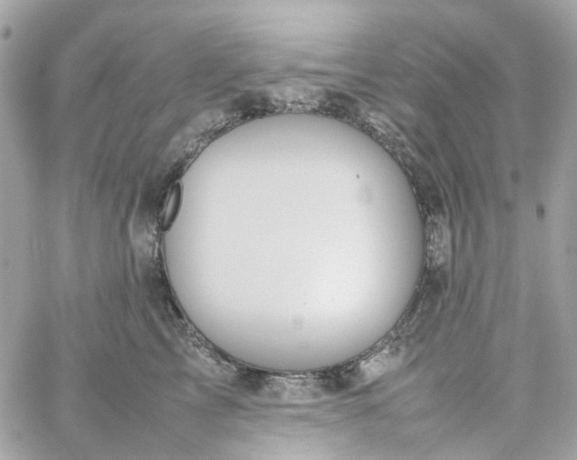 X0000059250713200510281956