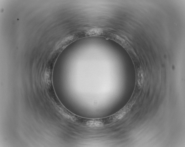 X0000059250714200510281956