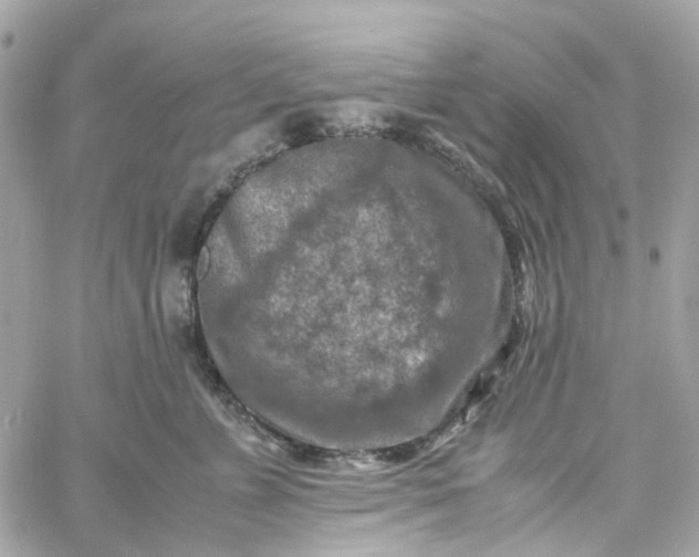 X0000059250715200510281956