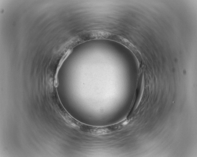 X0000059250716200510281956