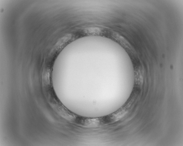 X0000059250717200510281956