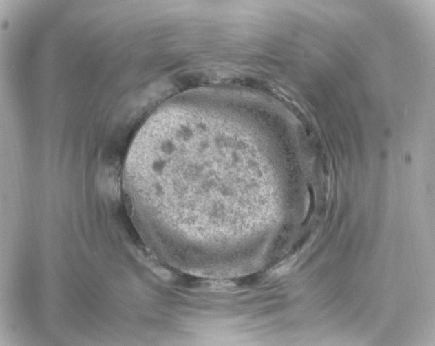 X0000059250719200510281956