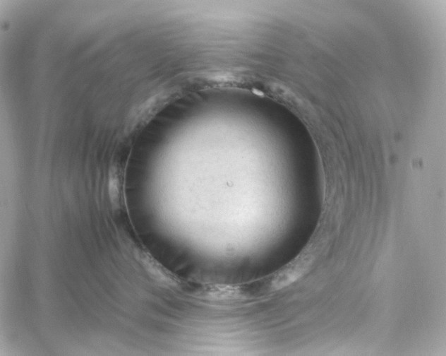 X0000059250720200510281956