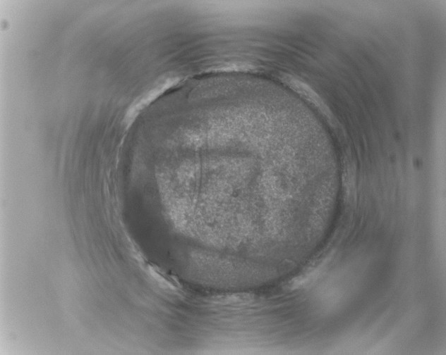 X0000059250721200510281955