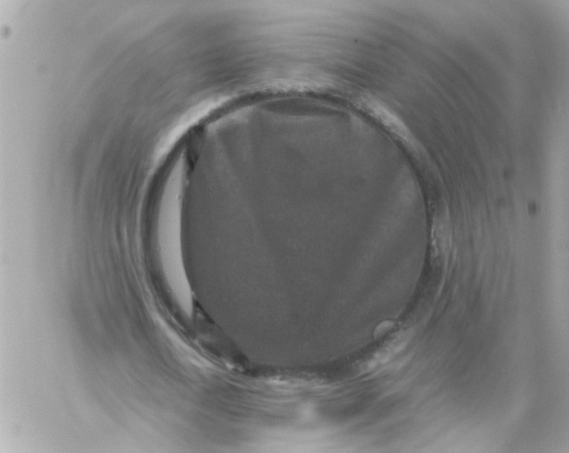 X0000059250722200510281955