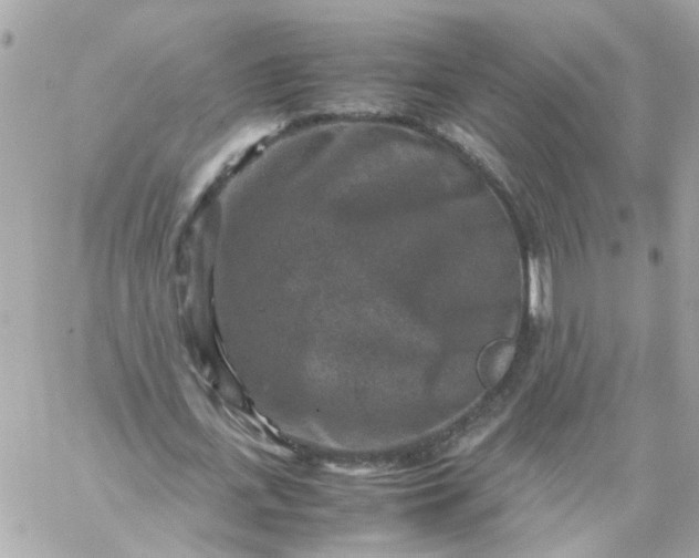 X0000059250723200510281955