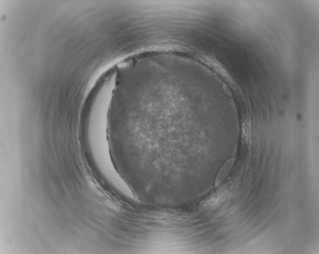 X0000059250724200510281955