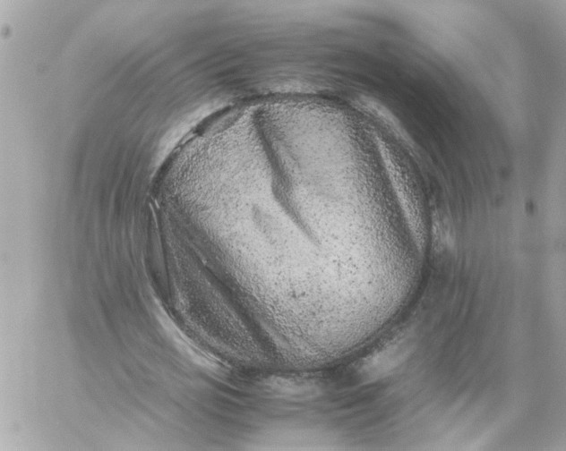 X0000059250725200510281955