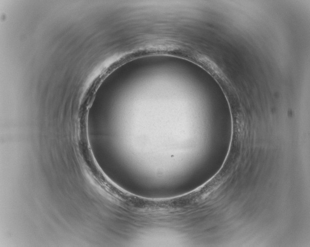 X0000059250726200510281955