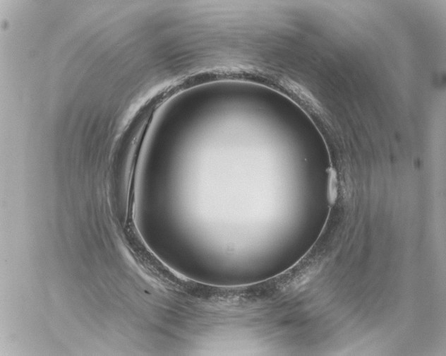 X0000059250728200510281955