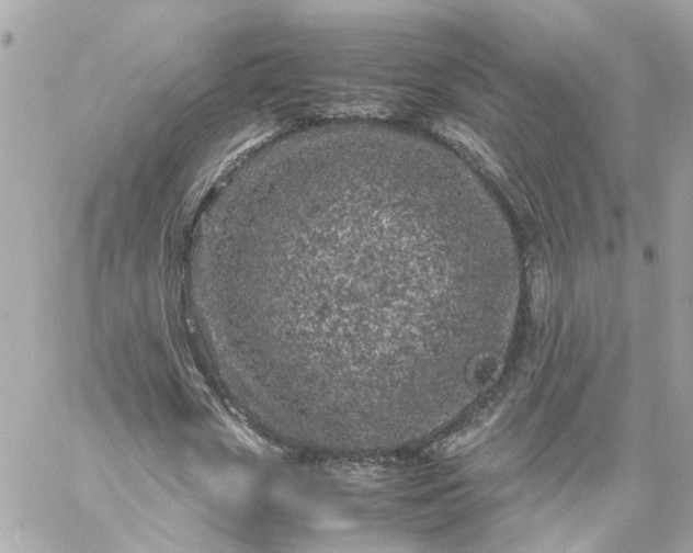 X0000059250729200510281955