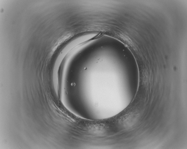 X0000059250731200510281955