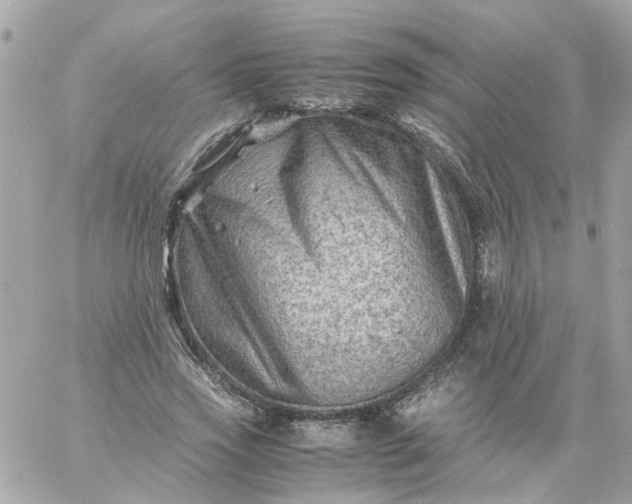 X0000059250733200510281955