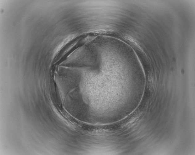 X0000059250734200510281955